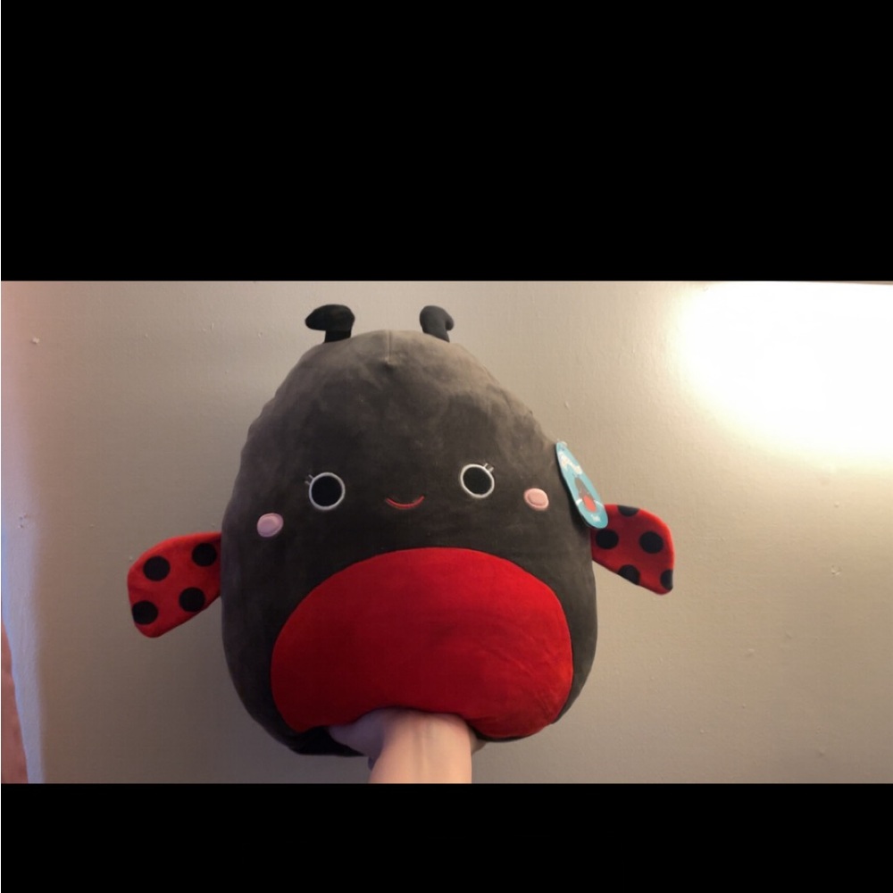 Lady bug squishmallow